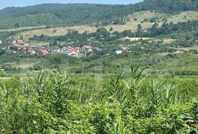 Teren Saratel, 30 ari extravilan - 3