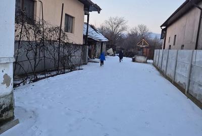 Casă cu Teren 750 Mp în Peștișani - 3