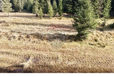 Teren intravilan de 5000 mp, în Moroeni - 3