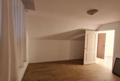 Casa cu teren de 14340 mp în Jebel/Pretabila pentru afacere - 40
