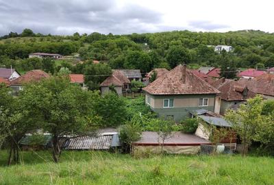 0% Comision! Casa P+E, teren 1681 mp, 2 fronturi, la asfalt, in Suceag - 39