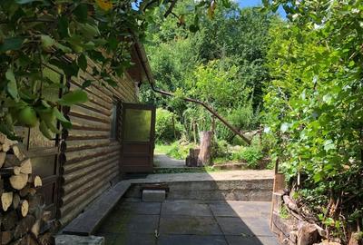 Casa de vacanta in Baiut - 13