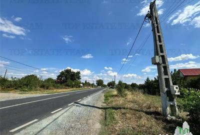 Teren de 2500 mp, în Frumușani
