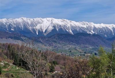 7.000 mp, pozitie spectaculoasa, fara vecini, Fundatica, Brasov - 4