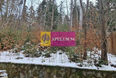 Vilă de vânzare in Sinaia - Zona Cumpătu - 21