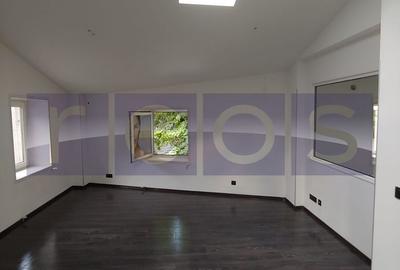 Spațiu comercial, de 300 mp, în Dacia - 11