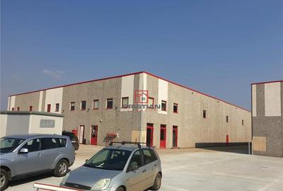 Spațiu comercial, de 1,200 mp, în Chitila - 14