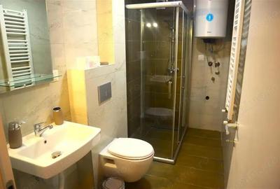 Apartament cu 1 camera in zona Iosefin - 1