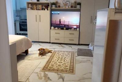 Garsonieră în Pantelimon