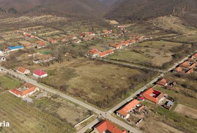 Casă cu 8 camere cu Teren 7235 Mp în Traian Vuia - 15