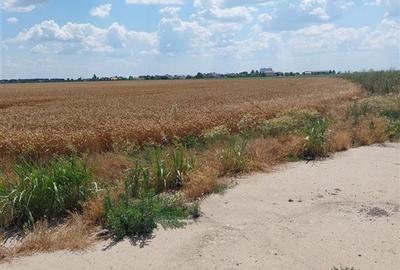 Teren Construcții intravilan de 87800 mp, în Glina - 5