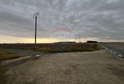 Teren cu potential de investitie - Lehliu, Lehliu Gara, jud Calarasi - 1