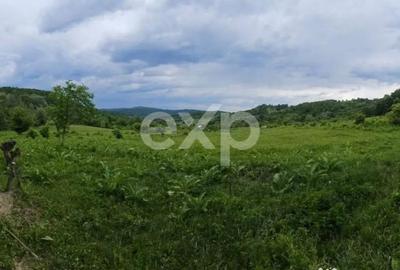 Teren în Mărgineni - 3