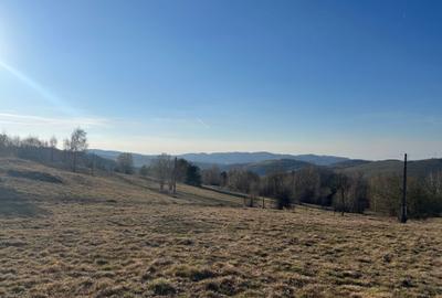 Spațiu comercial, în Damiș - 14