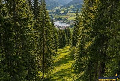 Teren de 7800 mp, în Lunca