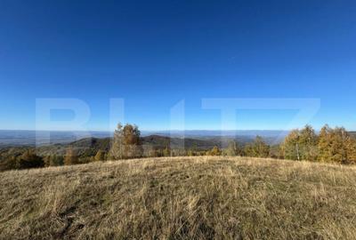 Teren extravilan 54.722 mp in Tarsa - 5