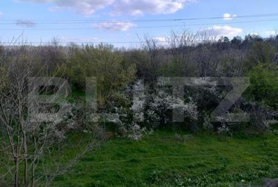 Teren padure 10 ha, extravilan, 400 ml deschidere, stradal, - 2