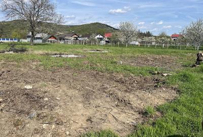 Spațiu comercial, în Călinești - 5