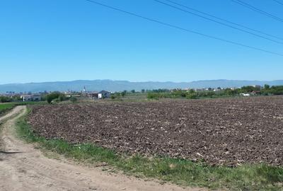 Teren de vanzare | 23.300mp | Gusterita - Oportunitate de investitie - 5