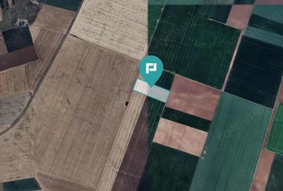 Teren arabil de 4,4Ha in ?imand - 2