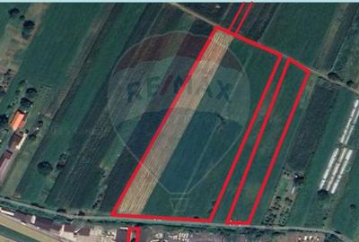 Teren 3 ha in  Deva / DN 7 in zona Hotel Alaska, Deva, jud. HD - 6