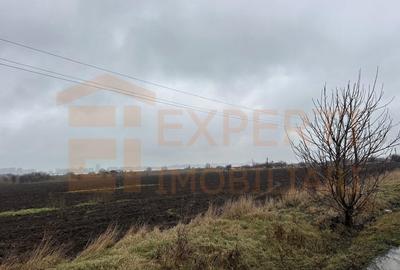 Teren Construcții extravilan de 5000 mp, în Lumina - 7