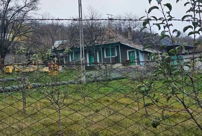 Casă cu 2 camere în Roșu