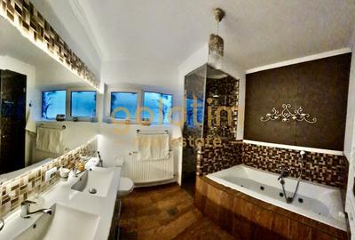 APARTAMENT CENTRAL/ ALEXANDRU IOAN CUZA/PIATA VICTORIEI/SINGUR PE NIVEL - 7