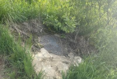 Vand Teren Intravilan, 2500 mp ,Zona Daia - 5