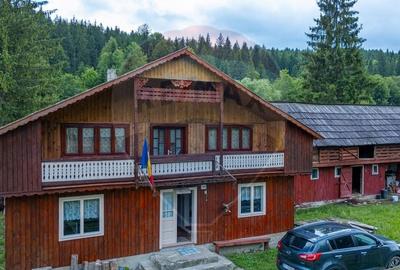 Ferma de vanzare, teren 21436 mp intravilan, Cosnea, Agas - 4