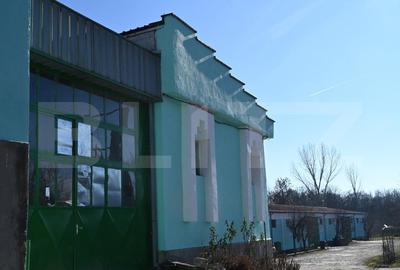 Hale, spatii de depozitare si administrative, teren 6530 mp, Cernele - 13