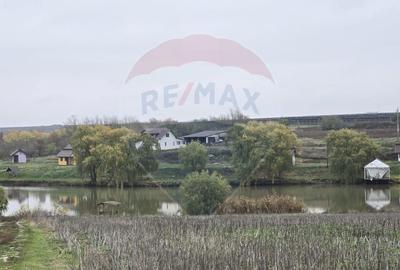 Teren extravilan de 129700 mp, în Iepurești - 5