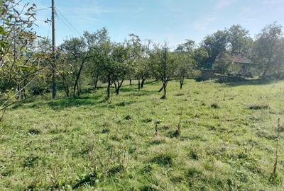 Casă cu 3 camere în Râu Mic - 4