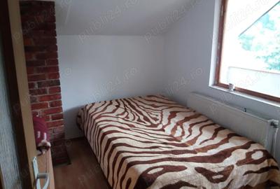 Cabana la munte in tarcau - 12