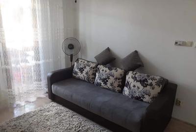 Apartament cu 2 camere nedecomandat în Beba Veche - 8