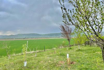 Teren în Urleta - 5