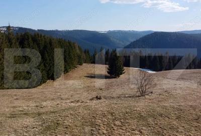 Teren de 10909 mp, în Râșca - 9