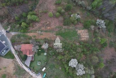 Teren intravilan 16 ari/panorama la tot orasul OCAZIE! - 4