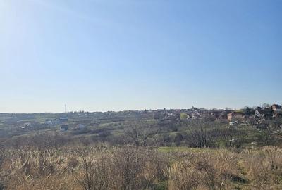 Teren agricol intravilan de 850 mp, în Săldăbagiu de Munte - 3