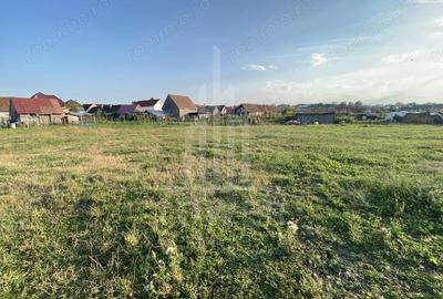 Teren de 400 mp, în Șura Mică - 5