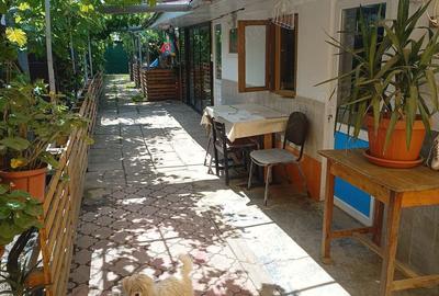 Vand casa Adunatii Copaceni - 10