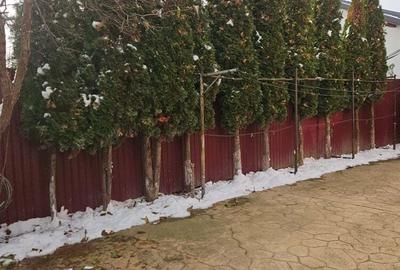 Vand casa in com.Cordun - 7