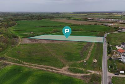 Teren de 5800 mp, în Remetea Mare - 2