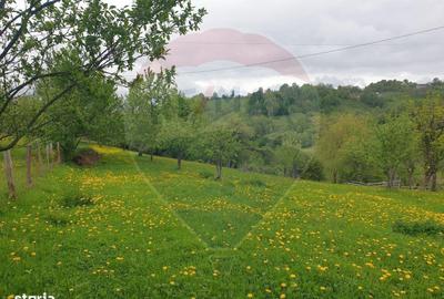 Spațiu comercial, în Bran - 2