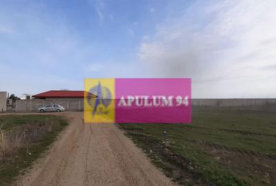 Parcela langa padure in Ilfov - 4