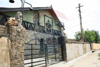 Vanzare Casa-Conac boieresc stil Baroc cu teren in Stoenesti, jud Olt - 2