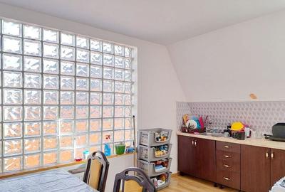 Proprietate investitionala cu  mai multe apartamente-singur in curte - 14