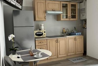 Garsonieră semidecomandată, mobilată în Nord - 5