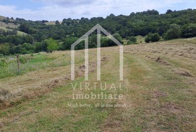 Teren extravilan de vanzare 15,600 mp zona loc... Hamba - 3