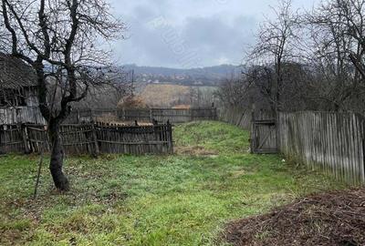 Casa batraneasca de vanzare - 2